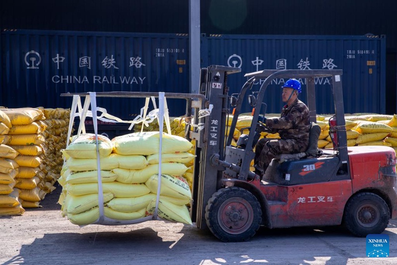 Usafirishaji wa mbolea waendelea kwa pande zote kwa ajili ya kilimo cha majira ya mchipuko mkoani Heilongjiang, China