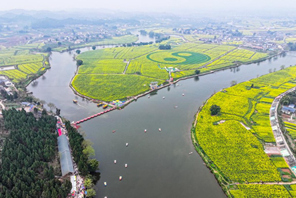 Mandhari ya mashamba ya mimea ya rapa huko Chongqing, Kusini Magharibi mwa China