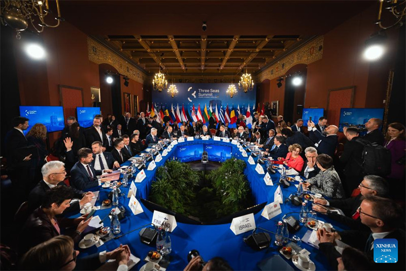Washiriki wakihudhuria Mkutano wa Mpango wa Bahari Tatu huko Vilnius, Lithuania, Aprili 11, 2024. (Ikulu ya Lithuania/Xinhua)