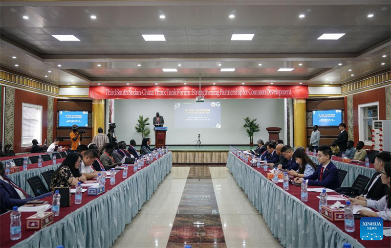 Wasomi wa Sudan Kusini na China waahidi kufanya ushirikiano kwa ajili ya maendeleo ya pamoja