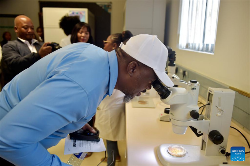 Mtu akiangalia sampuli chini ya darubini kwenye maabara wakati wa maadhimisho ya Siku ya Kimataifa ya Afya ya Mimea huko Gaborone, Botswana, Mei 13, 2024. (Picha na Tshekiso Tebalo/Xinhua)