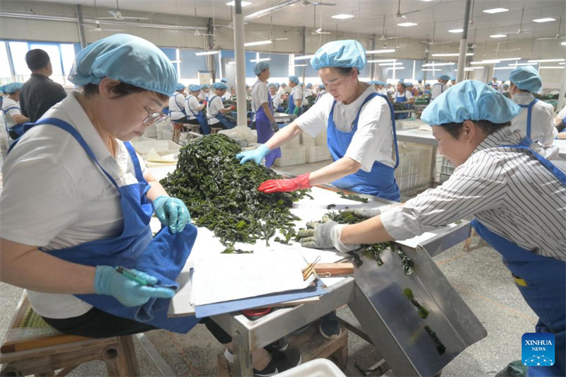 Mkoa wa Fujian wa China waharakisha maendeleo ya kilimo cha baharini