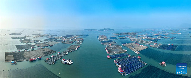 Mkoa wa Fujian wa China waharakisha maendeleo ya kilimo cha baharini