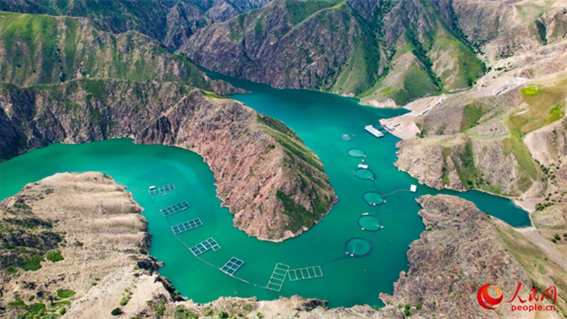 Kuwekeza Xinjiang, China: Samaki wa Mlima Tianshan “waogelea”  Duniani