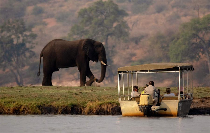 Watalii wakitazama tembo kwenye mto Chobe wa kijiji cha Kasane, Botswana, Septemba 23, 2022. (Picha na Metlha Ngubevana/Xinhua)