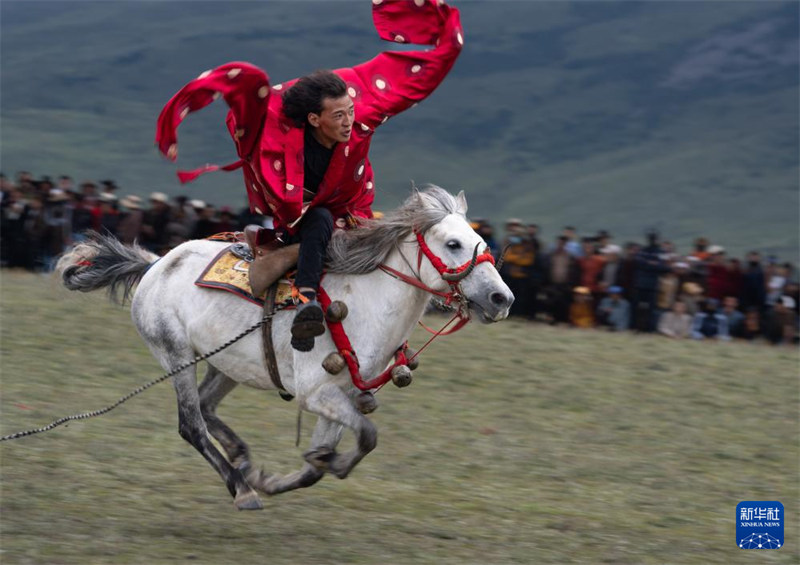 Michezo ya Kupanda Farasi ya