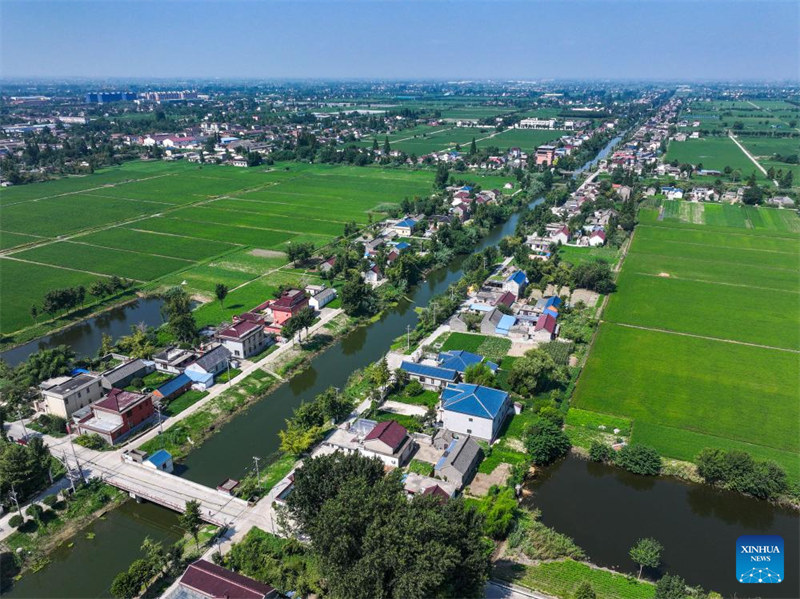 Habari picha: Maisha ya mwalimu kujitolea kwenye elimu katika Kijiji cha Shenyang, China