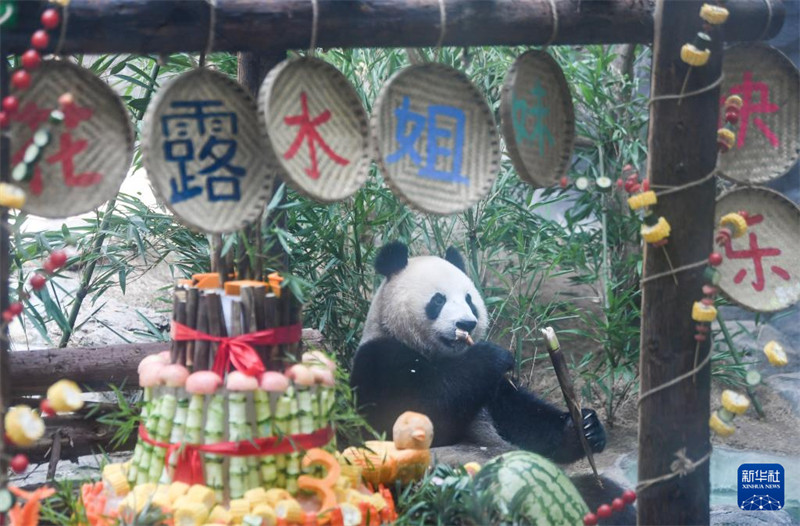 Sherehe ya pamoja ya Siku ya Kuzaliwa kwa Panda yajaa furaha tele