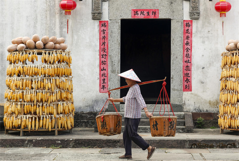 Wanakijiji wa Kijiji cha Kale Waanika Mazao ya Kilimo Juani huko Huangshan, Mkoa wa Anhui, China