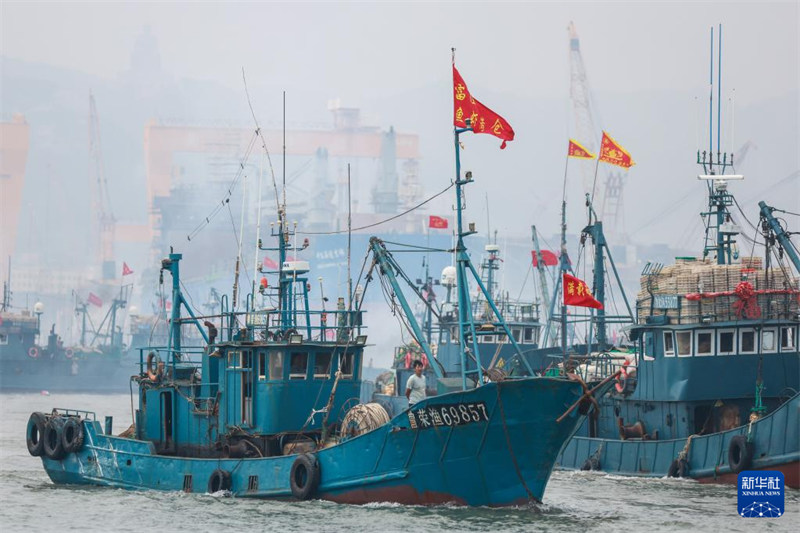 Meli za kuvua samaki zikifunga safari kwa shughuli za uvuvi za majira ya mpukutiko katika Bandari ya Shidao, Mji wa Rongcheng, Mkoa wa Shandong, Septemba 1. (Xinhua/Zhu Zheng)