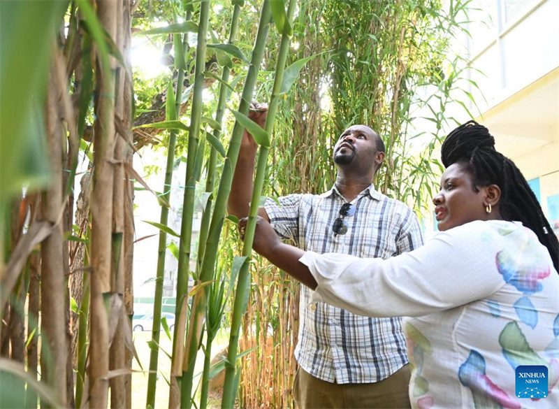 Wanandoa wa Rwanda waendelea na masomo ya teknolojia ya Juncao katika Mkoa wa Fujian, China