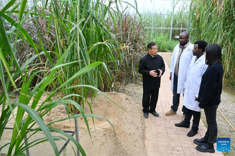 Wanandoa wa Rwanda waendelea na masomo ya teknolojia ya Juncao katika Mkoa wa Fujian, China