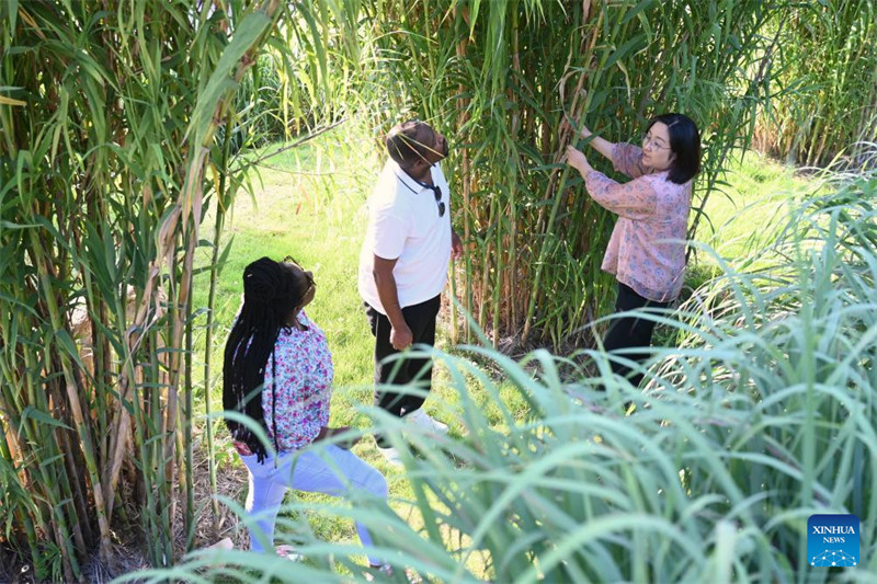 Wanandoa wa Rwanda waendelea na masomo ya teknolojia ya Juncao katika Mkoa wa Fujian, China