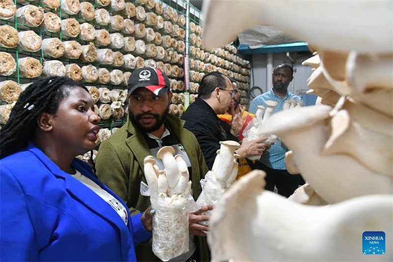 Wanandoa wa Rwanda waendelea na masomo ya teknolojia ya Juncao katika Mkoa wa Fujian, China