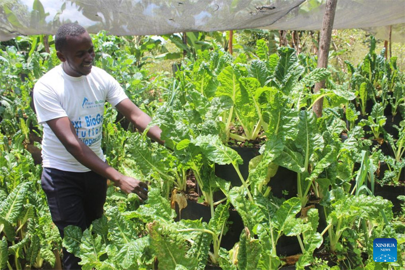 Kutoka takataka hadi utajiri: Soko la kijani la Kenya laongoza kwa udhibiti wa taka
