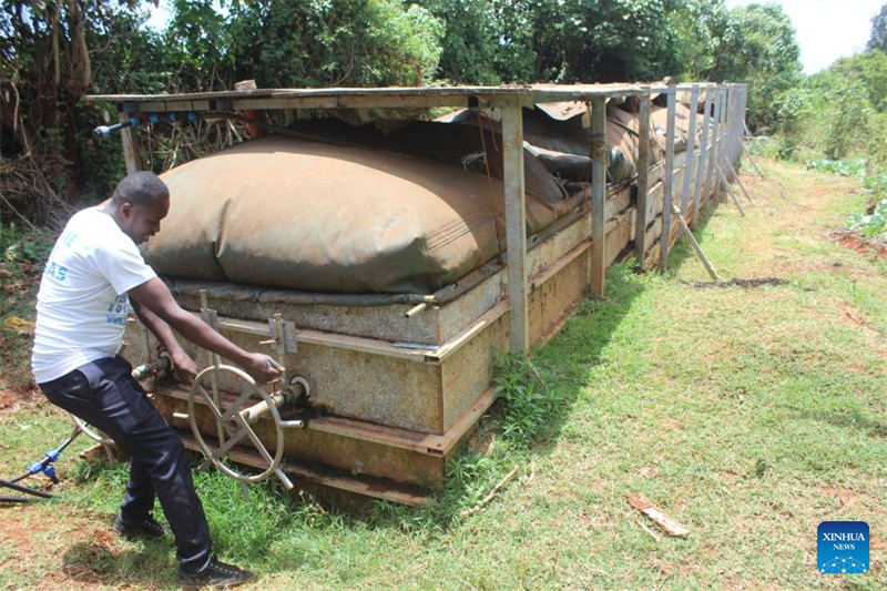 Kutoka takataka hadi utajiri: Soko la kijani la Kenya laongoza kwa udhibiti wa taka