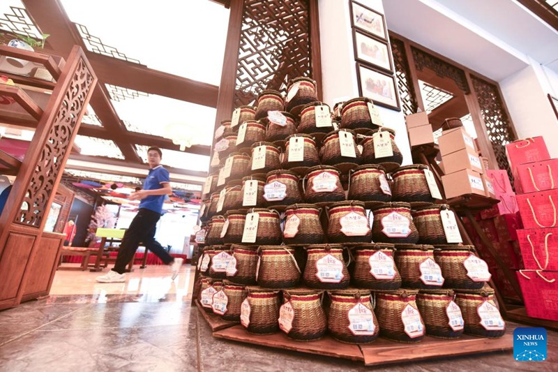 Utengenezaji na upandaji chai ya Liubao, waleta ustawi Mjini Wuzhou, Kusini mwa China