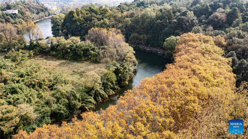 Mandhari ya majira ya mpukutiko ya Hifadhi ya Taifa ya Ardhi Oevu ya Huaxi huko Guiyang, China