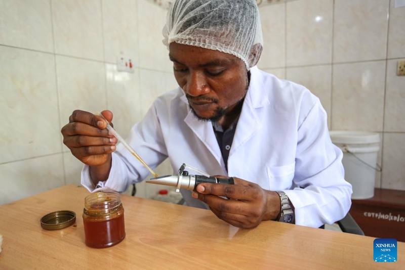 Meneja uzalishaji kwa ajili ya biashara na maendeleo wa Kampuni ya Tanzania Future Enterprises, Jackson Mponela akikagua ubora wa asali kabla ya kuifungasha ndani ya chupa kwenye kiwanda kilichoko Dar es Salaam, Tanzania, Oktoba 28, 2024. (Picha na Emmanuel Herman/Xinhua)