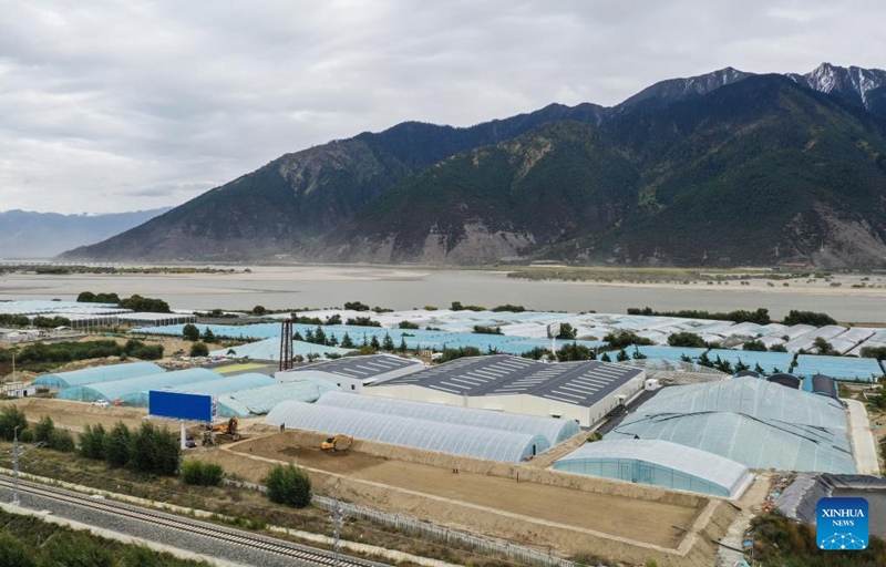 Sekta ya uvuvi yastawi katika Shamba la Milin mkoani Xizang, China