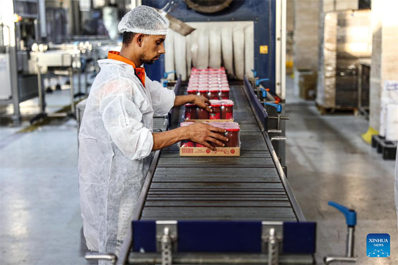 Wafanyakazi wakihamisha ketchup zinazopakiwa kwenye mstari wa uzalishaji wa Shirika la Swiss la Misri jimboni Sharqia, nchini Misri, Oktoba 27, 2024.(Xinhua/Ahmed Gomaa)