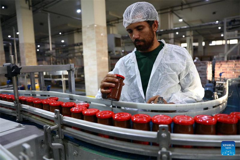 Kampuni za Misri zajiandaa Maonyesho ya 7 ya CIIE ya China zikiangalia soko kubwa