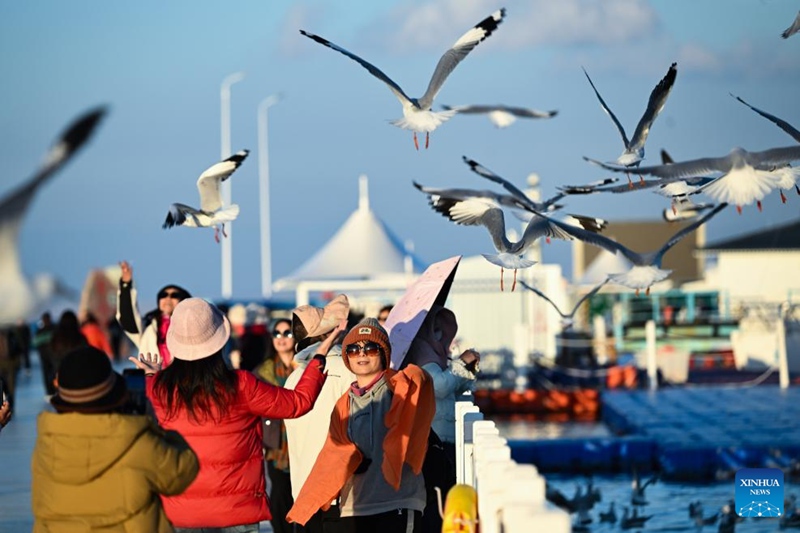 Watalii wakitembelea kivutio cha utalii cha Ziwa Qinghai Mkoani Qinghai, China, Oktoba 18, 2024. (Xinhua/Zhang Long)