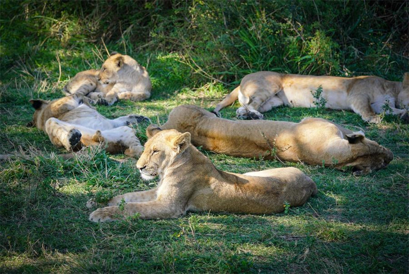 Kenya inatumai kuimarisha mawasiliano na China katika sekta za utalii na utamaduni