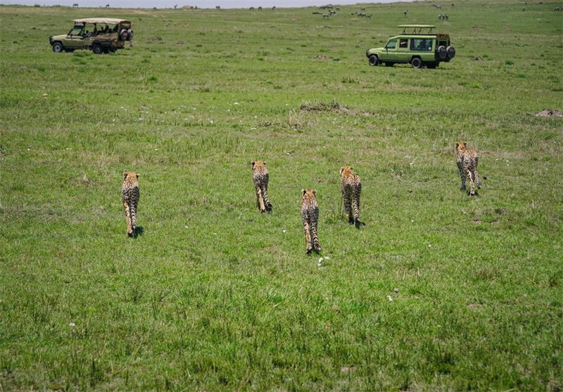 Kenya inatumai kuimarisha mawasiliano na China katika sekta za utalii na utamaduni