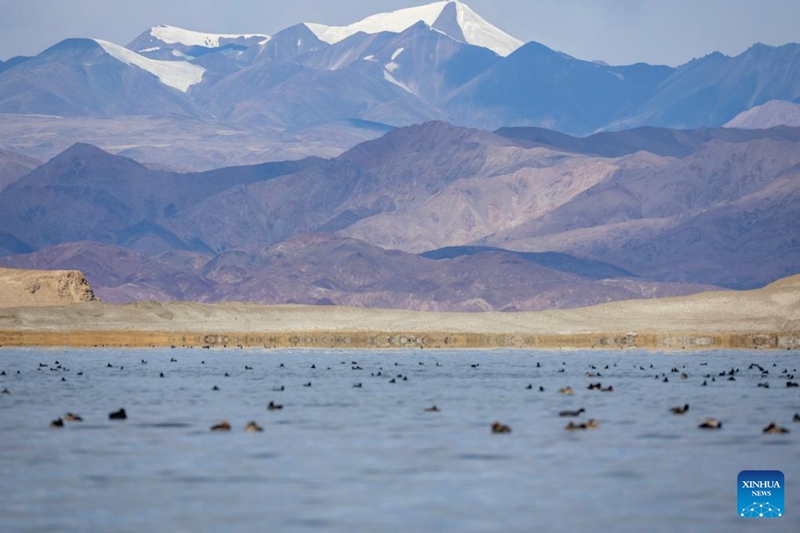 Mandhari ya Ziwa Banggong Co mkoani Xizang, China