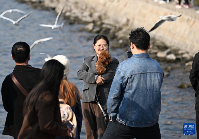 Watalii wakipiga picha kando ya Mto Haihe mjini Tianjin, China tarehe 19, Novemba. (Xinhua/Li Ran)