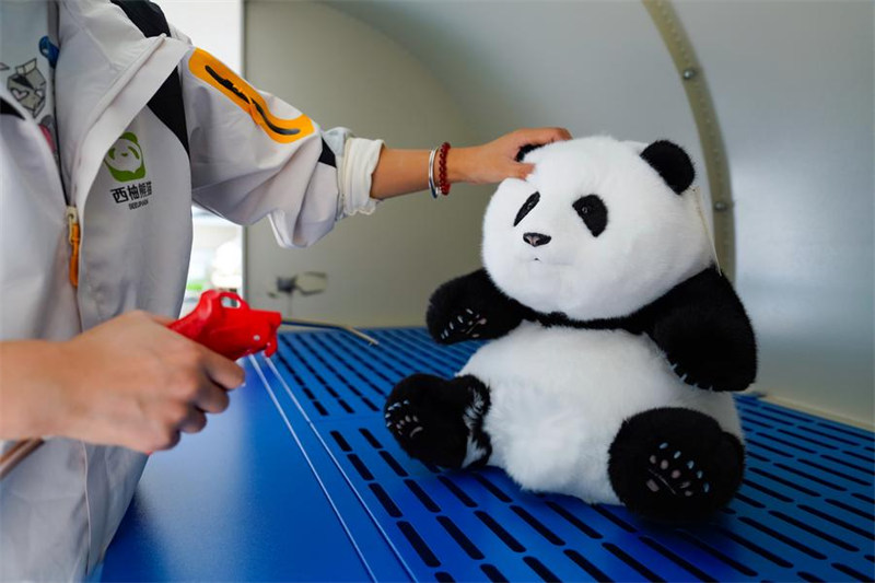 Midoli ya kibunifu ya China ya mnyama panda yapata umaarufu kote duniani
