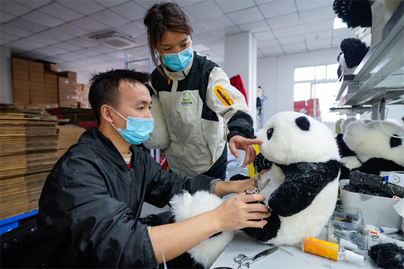 Midoli ya kibunifu ya China ya mnyama panda yapata umaarufu kote duniani