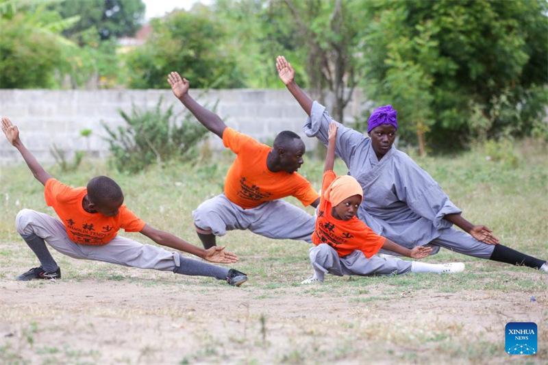 Binti mtoto wa Tanzania mwenye umri wa miaka 5 anafuata nyayo za baba yake akibobea katika kung fu ya China