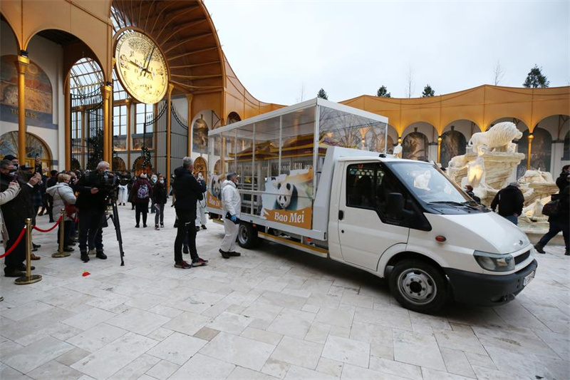 Gari lililowabeba panda Bao Di na Bao Mei likiondoka kwenye bustani ya wanyama ya Pairi Daiza mjini Brugelette, Ubelgiji, Des. 10, 2024. (Xinhua/Zhao Dingzhe)