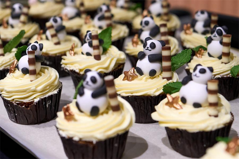 Picha hii iliyopigwa Desemba 10, 2024 ikionyesha keki zenye umbo la panda katika bustani ya wanyama ya Pairi Daiza mjini Brugelette, Ubelgiji. (Xinhua/Meng Dingbo)