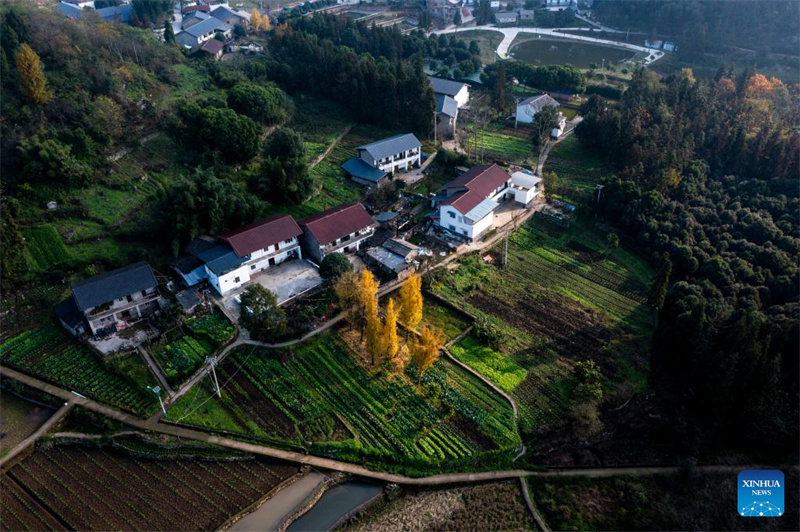 Tarafa ya Tianfu ya Chongqing yageuza nyumba za vijijini kuwa nyumba za wageni zinazopendezwa