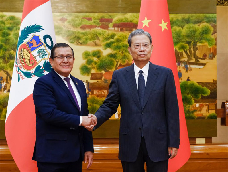 Zhao Leji, mwenyekiti wa Kamati ya Kudumu ya Bunge la Umma la China, akifanya mazungumzo na mwenyekiti wa Bunge la Peru Eduardo Salhuana katika Jumba la Mikutano ya Umma mjini Beijing, mji mkuu wa China, Januari 6, 2025. (Xinhua/Ding Lin)