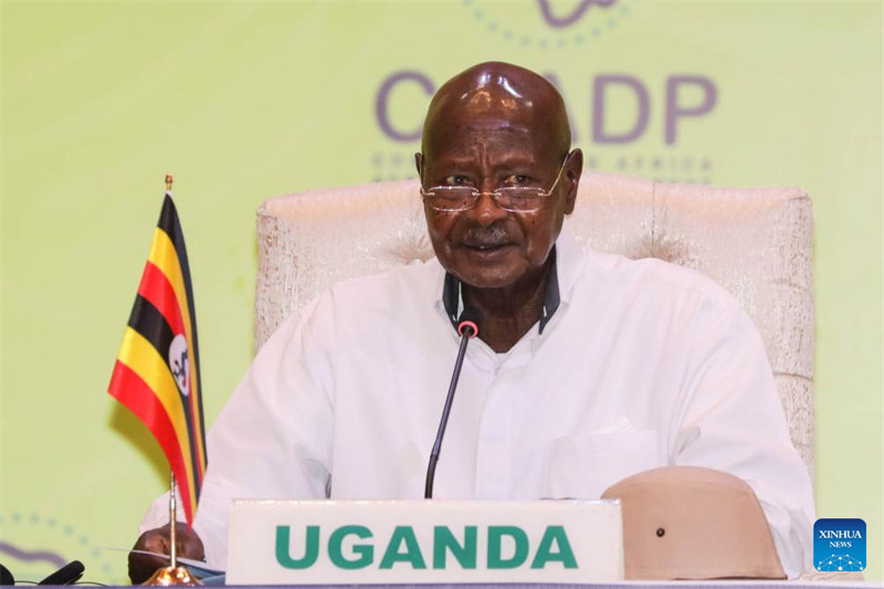 AU yapitisha mkakati wa maendeleo ya kilimo kwa muongo ujao