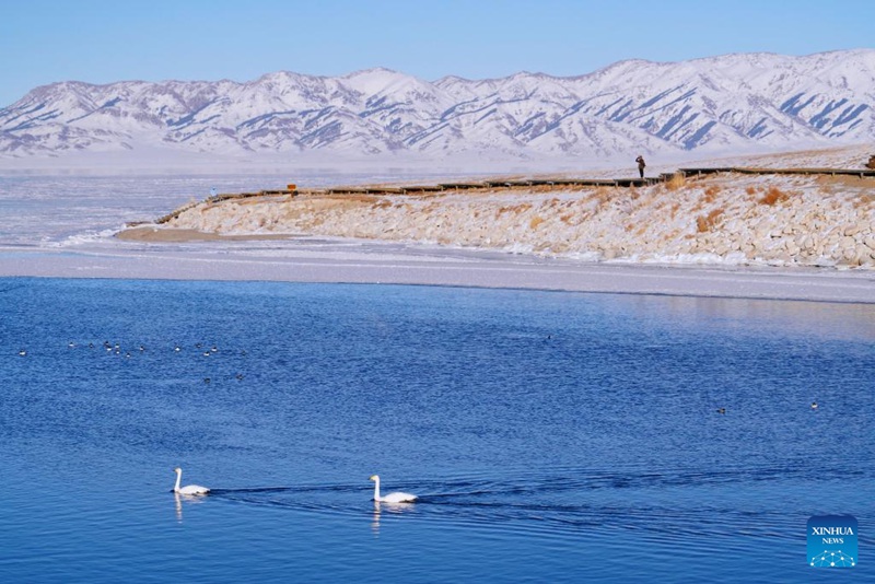 Mandhari ya Ziwa Sayram katika Mkoa wa Xinjiang, nchini China