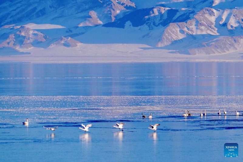 Mandhari ya Ziwa Sayram katika Mkoa wa Xinjiang, nchini China