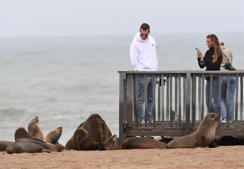 Watalii wakitazama wanyama sili wa Cape fur katika Hifadhi ya Cape Cross Seal, Namibia, tarehe 11 Oktoba 2023. (Xinhua/Chen Cheng)