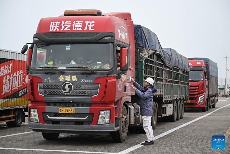 Bandari katika Mji wa Haikou wa China zahakikisha usafirishaji wenye ufanisi wa mazao bichi ya kilimo