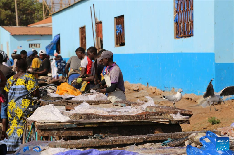 Ushirikiano wa uvuvi kati ya China na Guinea Bissau wastawi huku meli za uvuvi zikianza safari za kwanza za msimu huu