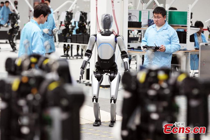 Wahandisi wakifundisha roboti za muundo wa binadamu kwenye kiwanda mjini Shanghai, China, Februari 18, 2025. (Picha na Tang Yanjun/Shirika la Habari la China)
