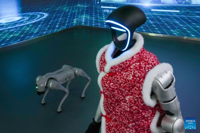Mwonekano wa hali ya “Dunia ya Roboti ya Beijing”, China