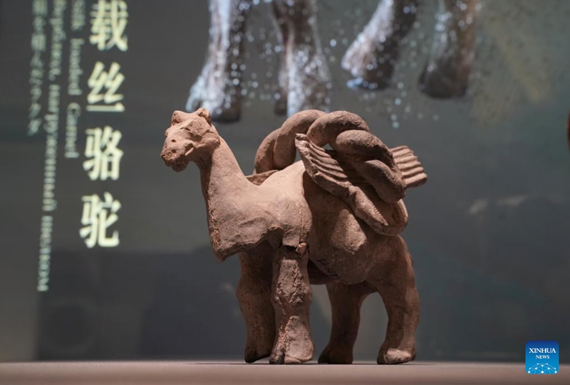 Jumba la Makumbusho ya vitu vya kale lafunguliwa kwenye uwanja wa ndege Mjini Xian, China