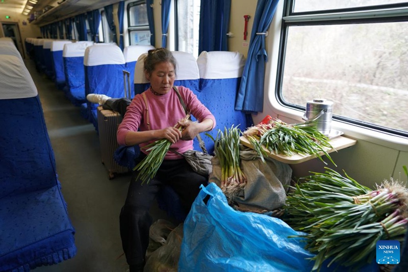 Abiria akipanga mboga za majani ndani ya treni Na. 6064 (kushoto), inayoendeshwa kutoka Guangyuan katika Mkoa wa Sichuan, kusini-magharibi mwa China hadi Baoji katika Mkoa wa Shaanxi, kaskazini-magharibi mwa China, Februari 17, 2025. (Xinhua/Shao Rui)