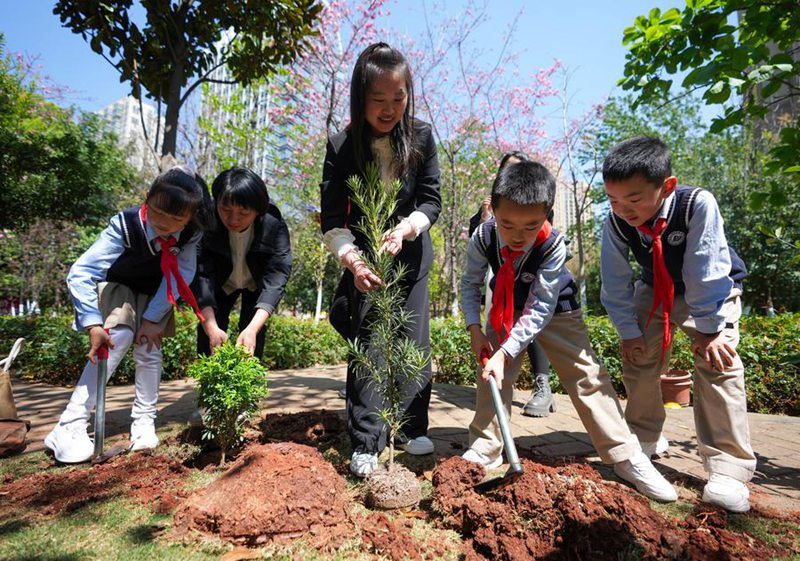 Wakazi wakipanda miche ya miti katika  Eneo la Panlong la Mji wa Kunming, Mkoa wa Yunnan, kusini-magharibi mwa China, Machi 11, 2025. (Xinhua/Chen Xinbo)