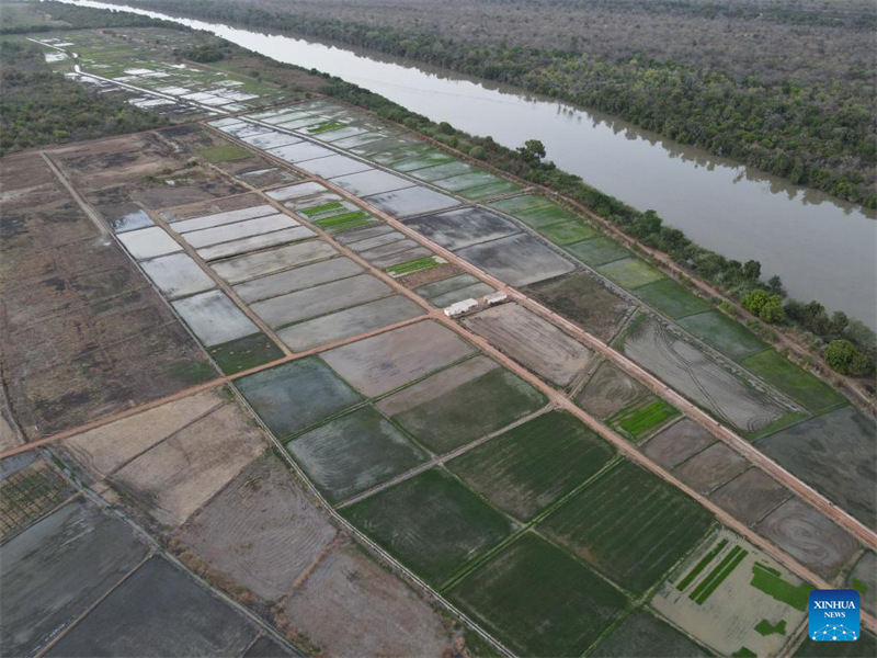 Ushirikiano wa kilimo kati ya Gambia na China unazaa matokeo mazuri, asema waziri wa Gambia